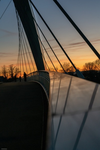 52701096399_544e07c425_o